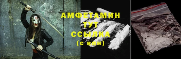 индика Нягань
