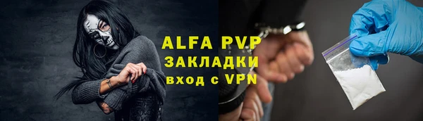 индика Нягань