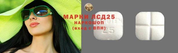 индика Нягань