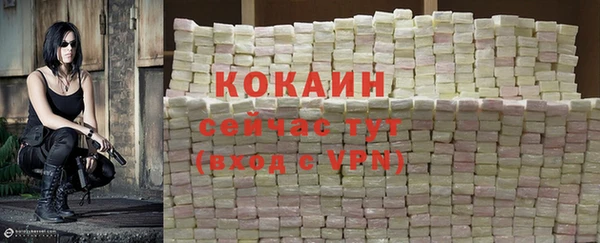 mdpv Няндома