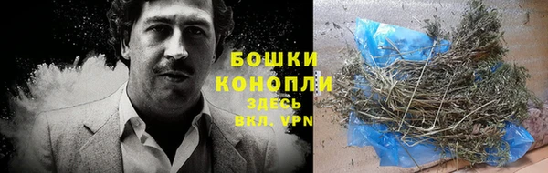 экстази Бородино