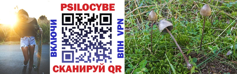 Галлюциногенные грибы Cubensis Топки